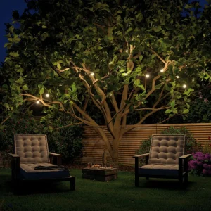 Paulmann Plug & Shine Chaîne lumineuse LED Globe 7x0,2W^ Lampes Décoratives