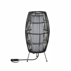Paulmann Plug & Shine luminaire LED Basket RGBW, 40 cm, ZigBee^ Lampes Décoratives