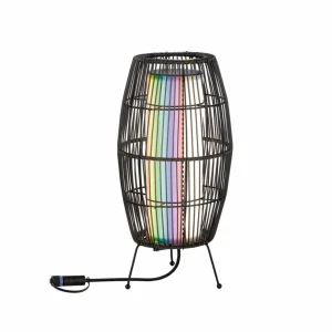 Paulmann Plug & Shine luminaire LED Basket RGBW, 40 cm, ZigBee^ Lampes Décoratives