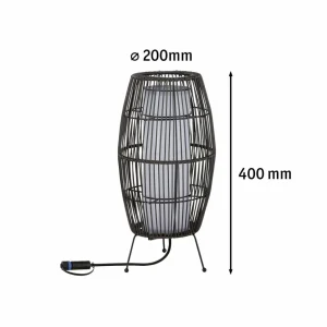Paulmann Plug & Shine luminaire LED Basket RGBW, 40 cm, ZigBee^ Lampes Décoratives