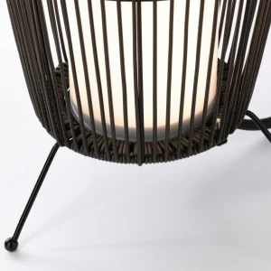 Paulmann Plug & Shine luminaire LED Basket RGBW, 40 cm, ZigBee^ Lampes Décoratives