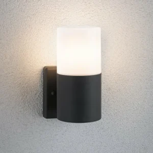 Paulmann Tubs applique d’extérieur, dimmable^ Appliques Murales Extérieures