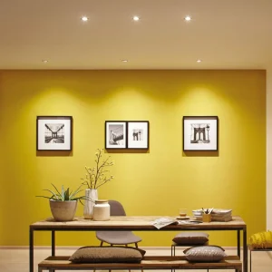 Paulmann ZigBee module LED Coin 470lm^ Matériel Électrique