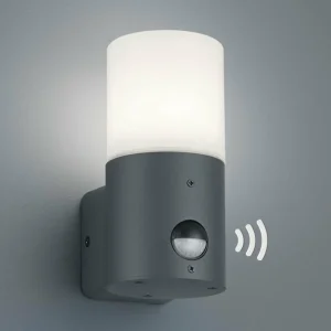 Trio Lighting Petite applique d’extérieur Hossic avec détecteur^ Appliques D'Extérieur Avec Détecteur