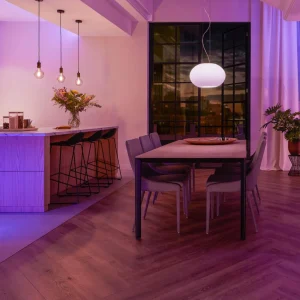 Philips Hue module interrupteur mural, pack de 2^ Matériel Électrique