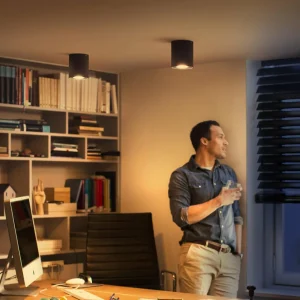 Philips Hue Pillar Downlight LED, interrupteur à variateur, noir^ Spots Connectés