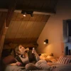 Philips Hue Runner Spot LED à 2 lampes, interrupteur à variateur, noir^ Spots Connectés