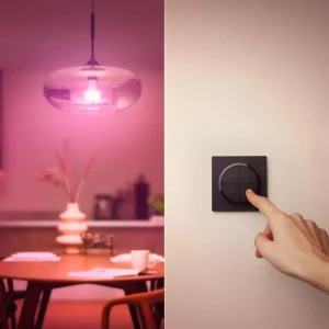 Philips Hue Tap Dial interrupteur, noir^ Interrupteurs Connectés