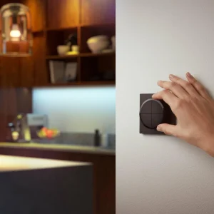 Philips Hue Tap Dial interrupteur, noir^ Interrupteurs Connectés