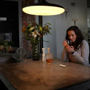 Philips Hue Wireless variateur V2 blanc^ Interrupteurs Connectés