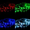 Briloner Ruban RVB LED WiFi, 500 cm, avec télécommande^ Lampes Décoratives