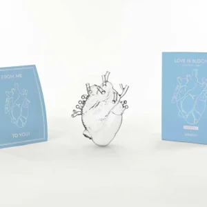 SELETTI Vase Love in Bloom, transparent, hauteur 24 cm, forme de cœur,^ Meubles & Aménagements