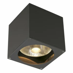 SLV Big Theo applique d'extérieur, 1 lampe, anthracite^ Appliques Murales Extérieures