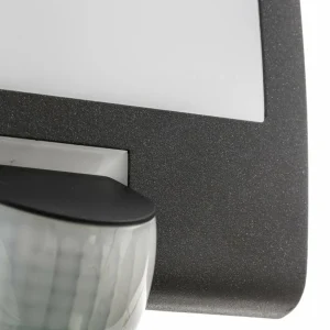 STEINEL L 22 S applique capteur, anthracite^ Appliques D'Extérieur Avec Détecteur