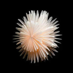 STERNTALER 2021 étoile en papier 3D Ø 45 cm blanc^ Lumière De Noël