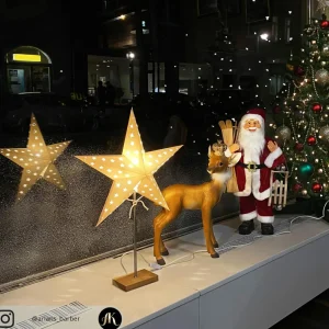 STAR TRADING Étoile sur pied Leo à motif étoilé^ Lumière De Noël