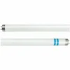 Philips Tube fluo G13 T8 avec protection contre les éclats^ Tubes Fluorescents