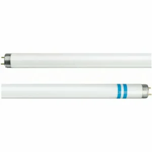 Philips Tube fluo G13 T8 avec protection contre les éclats^ Tubes Fluorescents