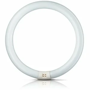 Philips Tube fluo rond G10q 32W 865 Master Circular TL-E^ Tubes Fluorescents