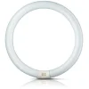 Philips Tube fluo rond G10q 40W 840 Master Circular TL-E^ Tubes Fluorescents