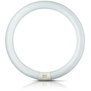Philips Tube fluo rond G10q 40W 840 Master Circular TL-E^ Tubes Fluorescents