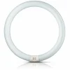Philips Tube fluo rond G10q 22W 840 Master Circular TL-E^ Tubes Fluorescents