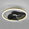 Reality Leuchten Ventilateur Borgholm avec LED, CCT, noir^ Ventilateurs