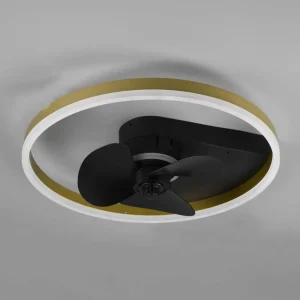 Reality Leuchten Ventilateur Borgholm avec LED, CCT, noir^ Ventilateurs