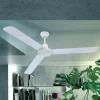 Globo Ventilateur de plafond Ferro à interrupteur mural^ Ventilateurs