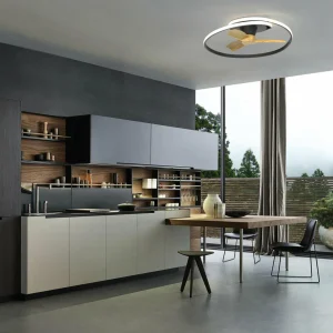 Mantra Iluminación Ventilateur de plafond LED Ocean noir/bois DC silencieux Ø 78 cm CCT^ Ventilateurs